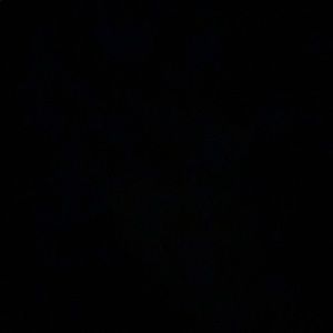 Meet your Posher, Kerri